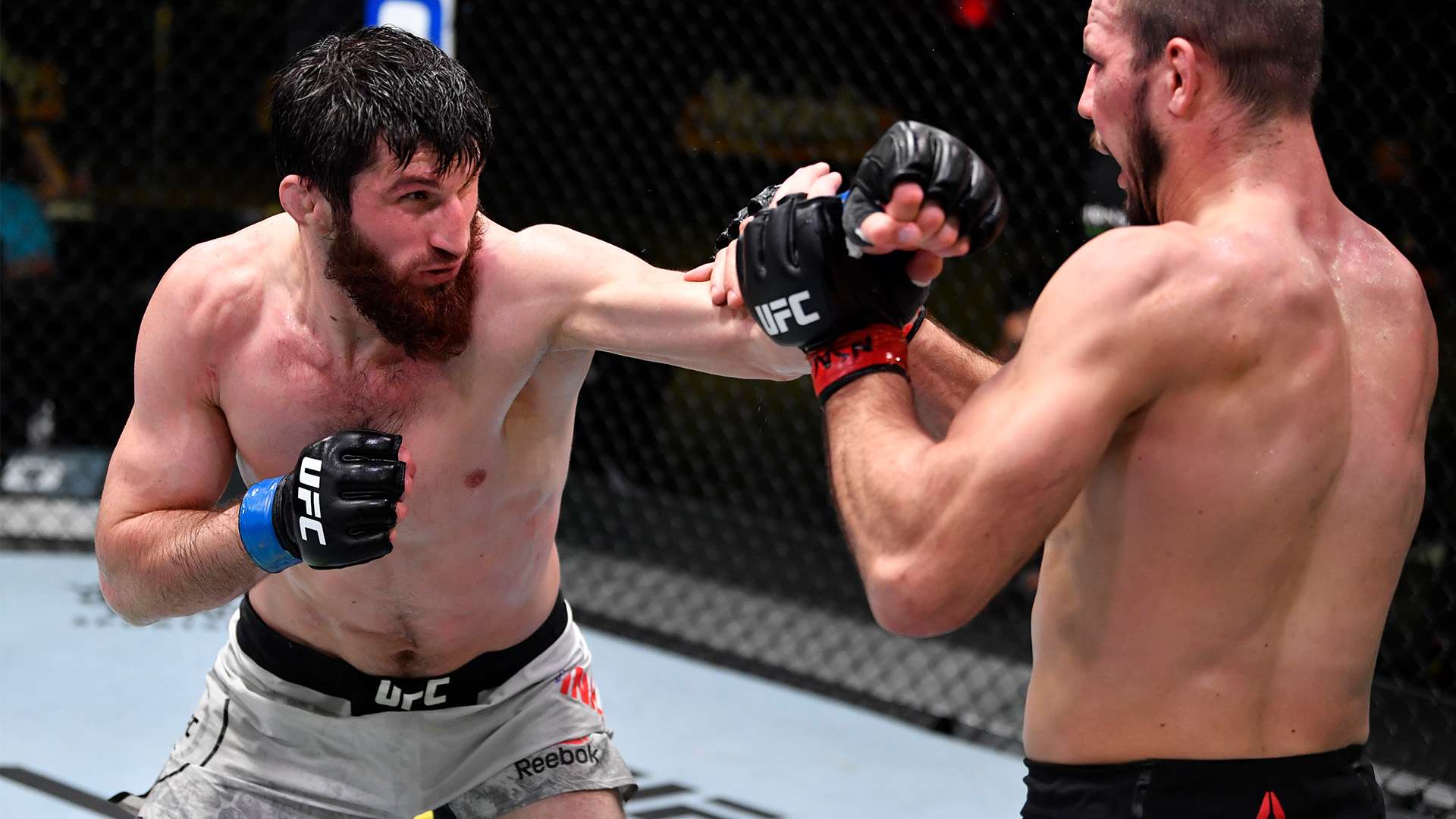 彻底击溃了 彻底击溃了