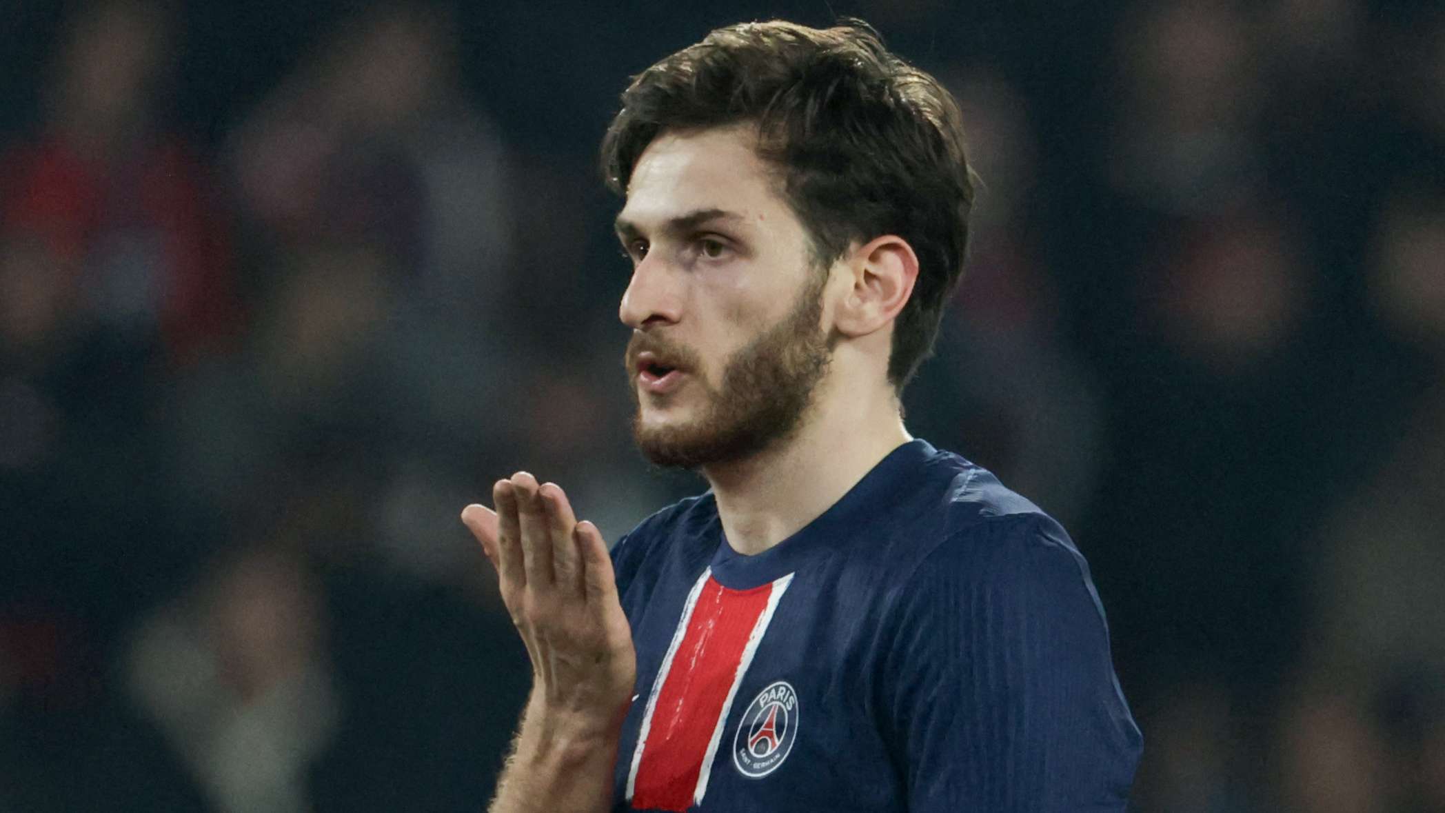 近年来羽毛 近年来羽毛